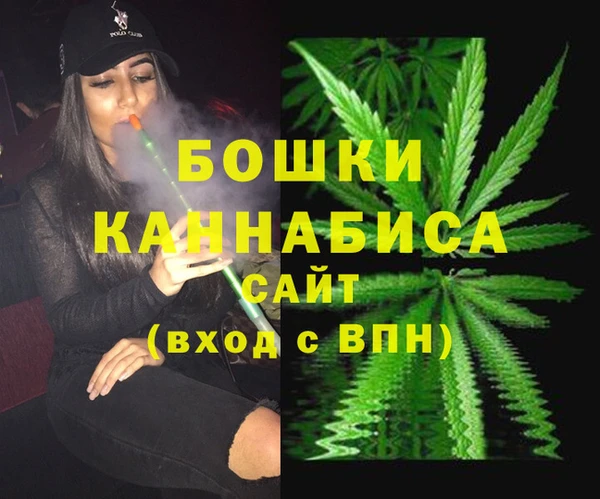 ALPHA PVP Куйбышев