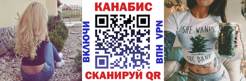 Канабис планчик  Хилок 